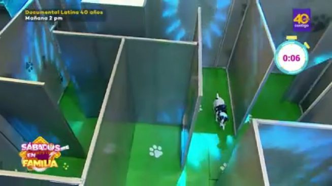 Sábados en Familia: Los Miranda se midieron ante los Brousset en 'Laberinto de Mascotas'