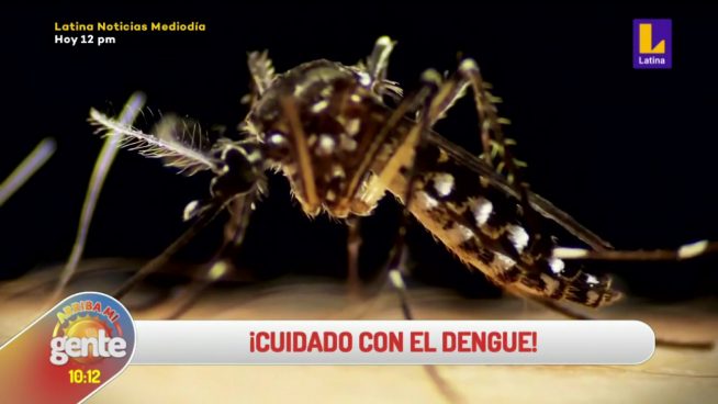 Arriba mi Gente: Cuidado con el dengue