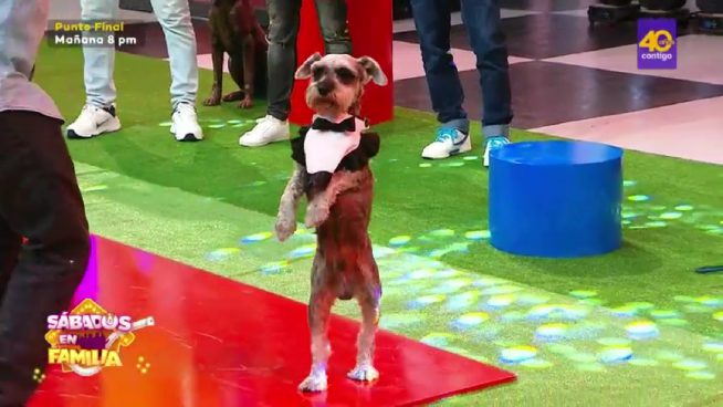Sábados en Familia: Los Cachay se midieron ante los Arteaga en 'Mi Mascota Tiene Talento'