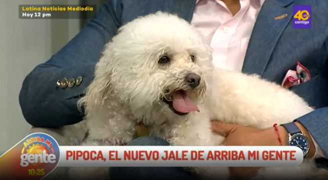 Pipoca: ¿Por qué Fernando Díaz llamó así a su mascota?