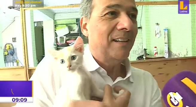 Exministro Alonso Segura promueve iniciativa para apoyar albergues de gatos