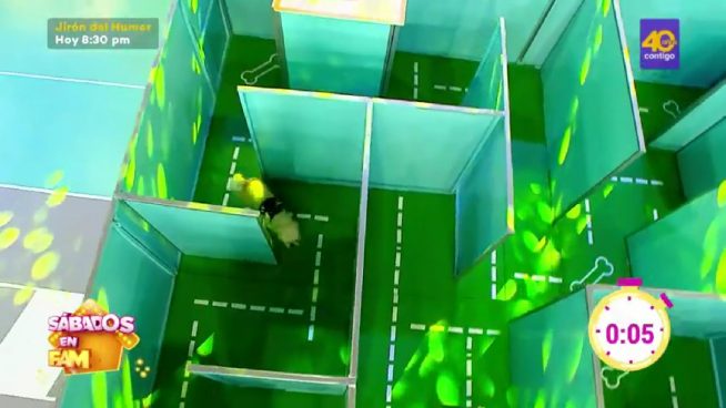 Sábados en Familia: Los Vidales y los Bosio jugaron a 'Laberinto de Mascotas'