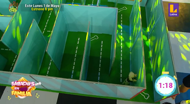 Sábados en Familia: Las mascotas de ambas familias y sus dueños se enfrentaron en ‘Laberinto de mascotas’