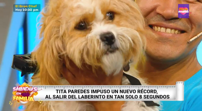 Sábados en Familia: ‘Tita’, la perrita de los Pastor rompió récord de tiempo en ‘Laberinto de mascotas’