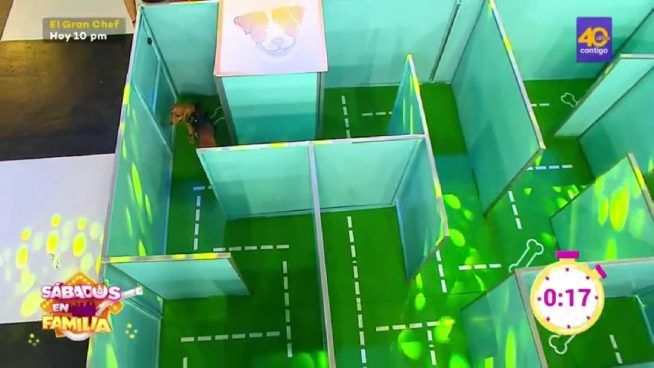 Sábados en Familia: Los Chávez y los Ochoa jugaron 'Laberinto de Mascotas'