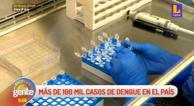 Casos de Dengue el Perú llegan a más de 100 mil y se registran más de 100 fallecidos por la enfermedad