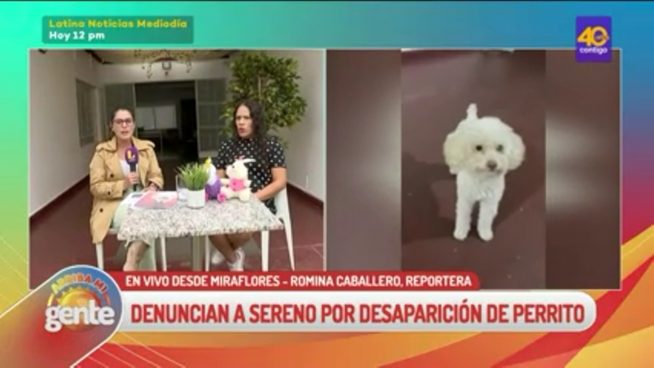 La encontraron, pero luego desapareció: Denuncian a sereno en Miraflores por pérdida de perrita 'Cloette'