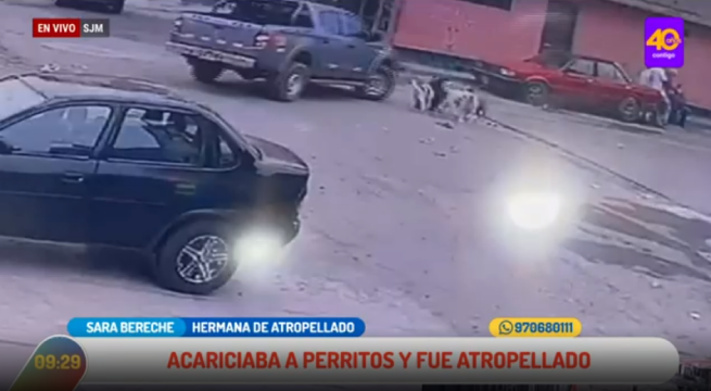 SJM: hombre acariciaba perros en la calle y fue arrollado por conductor de camioneta