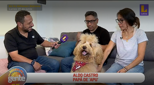 ¿El serrucho de Pipoca? La historia de Apu, el perro que domina las redes sociales