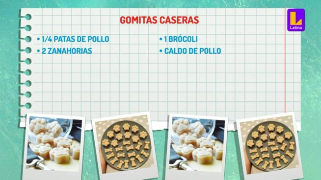 ¿Cómo preparar gomitas caseras para tu perro? Pancho Cavero te lo enseña