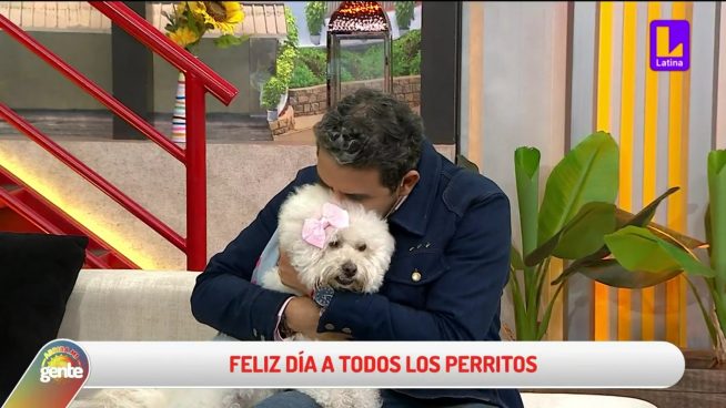 'Día Mundial del Perro': las mascotas peruanas más traviesas del internet