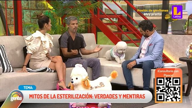 Esterilización en perros: 'Pancho' Cavero nos revela los mitos y verdades de esta práctica