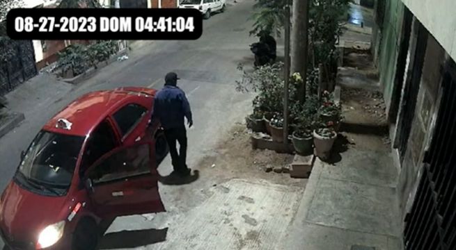 San Miguel: Taxista se dedica a robar plantas de las fachadas de casas del distrito