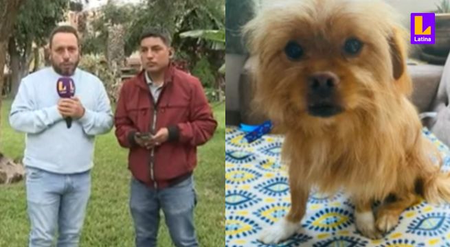Hombre denunció que empresa de transportes perdió a su perro en Terminal Plaza Norte
