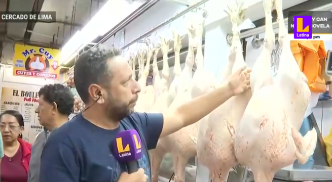 Pavo avestruz: la alternativa para las familias numerosas esta Navidad