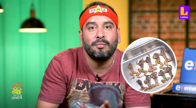 Están frías igual que el ‘Flaco’: Junior Silva bromeó con ranas “en pena” en la cocina de El Gran Chef Famosos