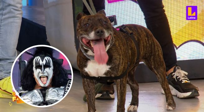 ¡Igualitos!: Mathías Brivio comparó a la mascota de Leslie Stewart con Gene Simmons de KISS | Sábados en Familia