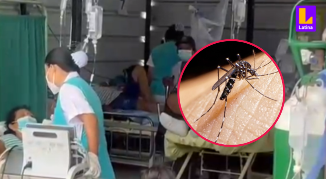 Dengue en Perú: 17 mil casos reportados en todo el país y sigue en aumento