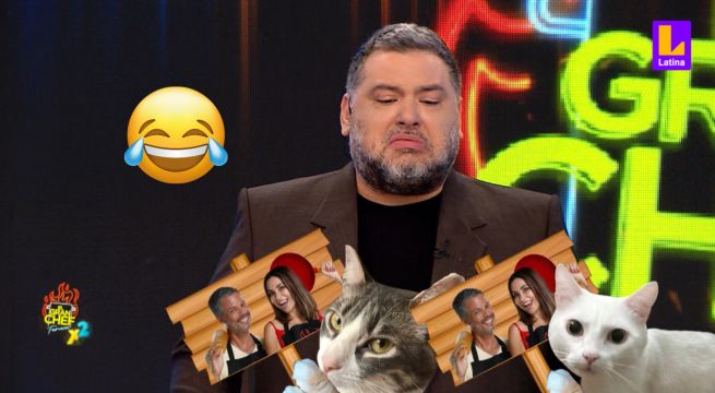 El Gran Chef Famosos: Los gatos de Masías exigen el regreso de Ximena y Pancho