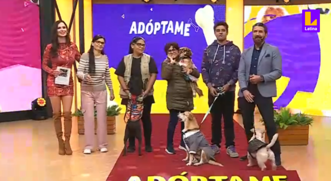 Mira AQUÍ a los perritos en adopción que derrocharon ternura en el set de 