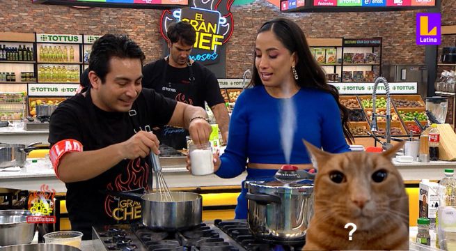 El Gran Chef Famosos: Carlos CASI convence a Nelly de sazonar su polenta