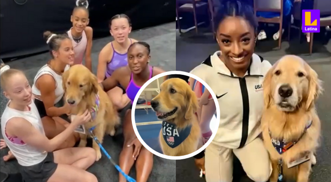 Conoce a Beacon, el perrito que acompaña al equipo de gimnasia de Simone Biles en los Juegos Olímpicos