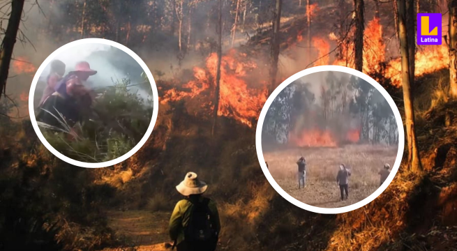 Cajamarca: Se han registrado más de 500 incendios forestales, muchos son provocados