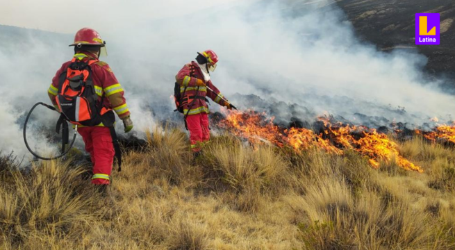 ¿Cómo se originan los incendios forestales y cuáles son sus consecuencias en la naturaleza?