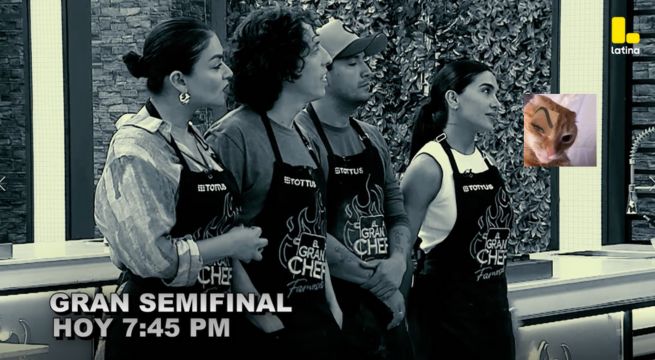 El Gran Chef Famosos EN VIVO: Los participantes se enfrentan en la GRAN SEMIFINAL
