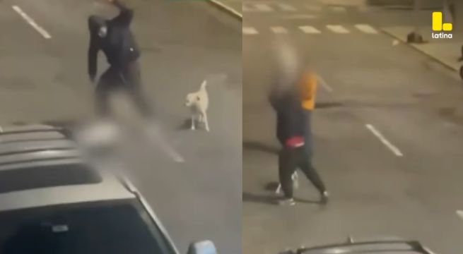 Asesino de perrita Bianca YA estuvo en PRISIÓN, según abogado de dueña