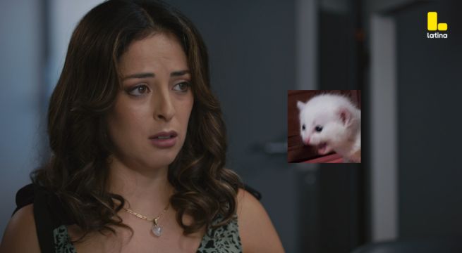 Pobre Novio Capítulo 121: Pamela encara una DURA REALIDAD, ¿de qué se trata?