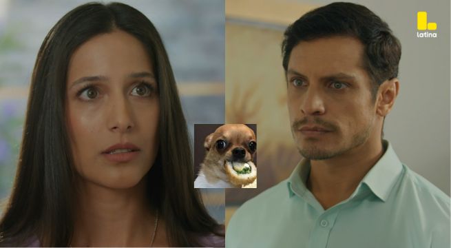 Pobre Novio Capítulo 126: Alicia se NIEGA a darle el divorcio a Santiago, ¿y lo demandará si la deja?