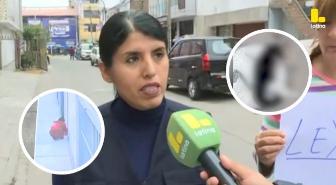 Más de UNA DECENA de gatos ENVENENADOS causa INDIGNACIÓN en Los Olivos
