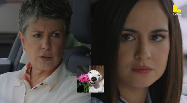 Pobre Novio Capítulo 137: Stella ¿DESCUBRE? la relación de Isabela y Santiago
