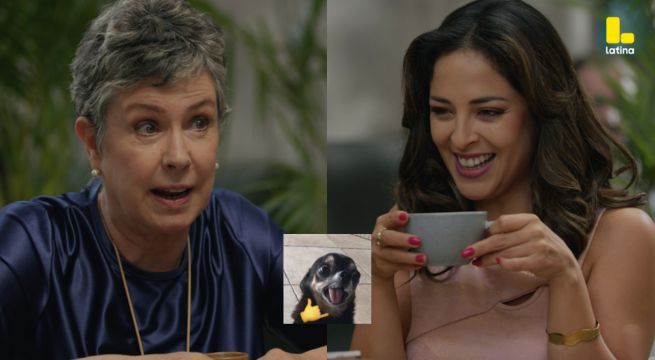 Pobre Novio Capítulo 142: Pamela le cuenta a Stella la VERDAD de Isabela y Santiago