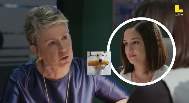 Pobre Novio Capítulo 142: Stella ¿NO está de acuerdo? en que Isabela se case con Eduardo