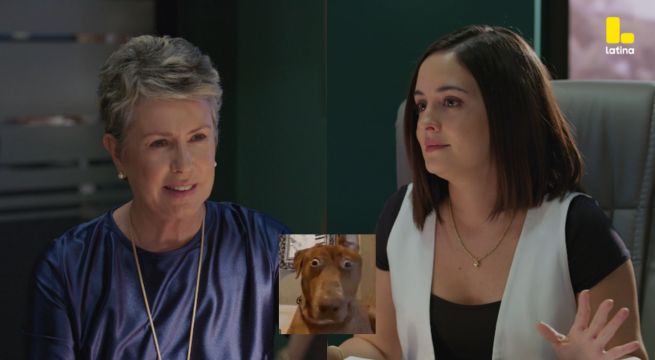 Pobre Novio Capítulo 143: Isabela le pide a Stella que NO opine de su matrimonio: “¿Tú qué sabes de amor real?”