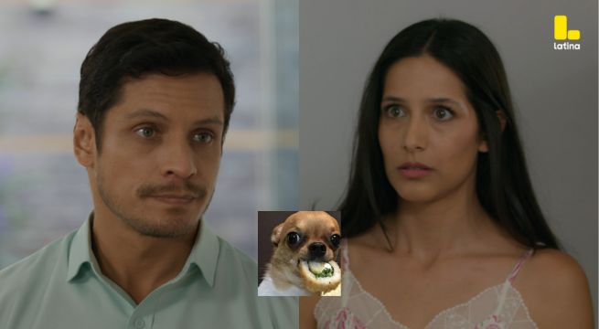 Pobre Novio Capítulo 129: Santiago se NIEGA a confirmar embarazo de Alicia ante la prensa
