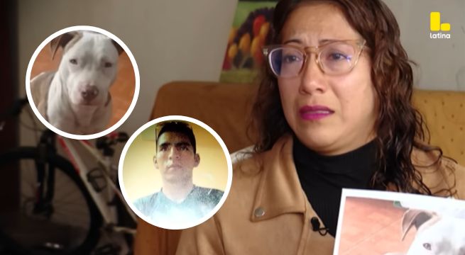 Mujer denuncia ASESINATO de su perro a manos de un integrante del Ejército