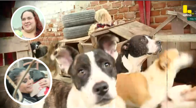 Yolanda Medina denuncia EXTORSIÓN que pone en PELIGRO a su albergue de PERRITOS