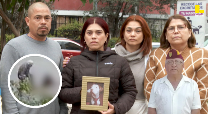 Hombre MATA a perro pitbull en La Victoria y familia queda DESTROZADA, ¿fue en DEFENSA PROPIA? | VÍDEO