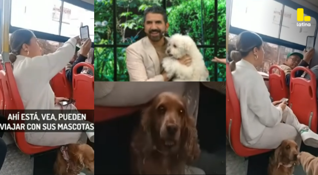 CONTROVERSIAS en el transporte público por presencia de MASCOTA: acusan a chica que aborda el bus junto a su PERRITO