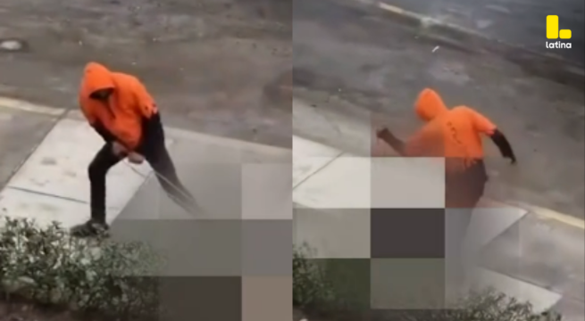 Indignación TOTAL: Hombre GOLPEA BRUTALMENTE a perrito en el Callao