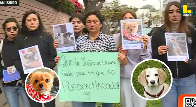 Vecinos denuncian ENVENENAMIENTO MASIVO de mascotas en parque de San Isidro