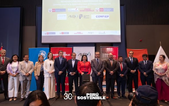 Unidos contra la Anemia en el Perú a través del mecanismo de obras por impuestos (OxI)