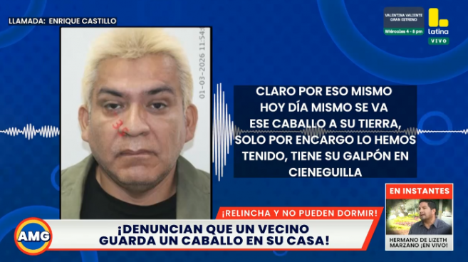 ¡Indignación en Cercado! denuncian a vecino por tener un pony en una casa urbana
