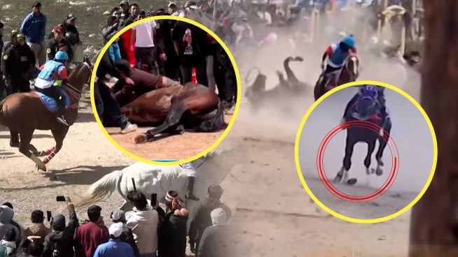 ¡Denuncian carreras clandestinas de caballos con graves casos de maltrato animal!